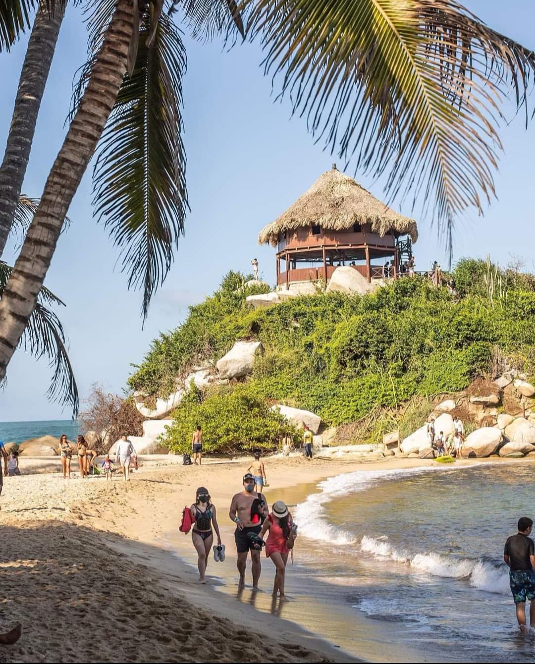 Playa con palmeras y una caseta